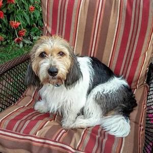 Meet your Posher, Susan